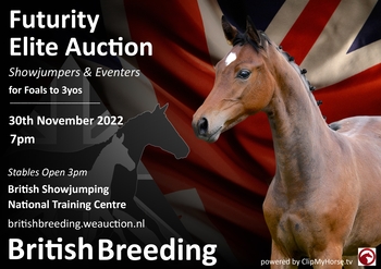 British Breeding Futurity Elite Auction 2022 for Showjumpers and Eventers